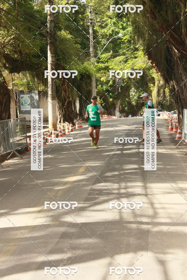 Buy your photos of the eventOFF ROAD RUN 2017 on Fotop