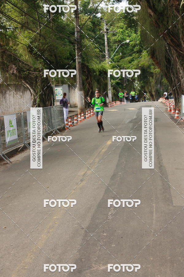Buy your photos of the eventOFF ROAD RUN 2017 on Fotop