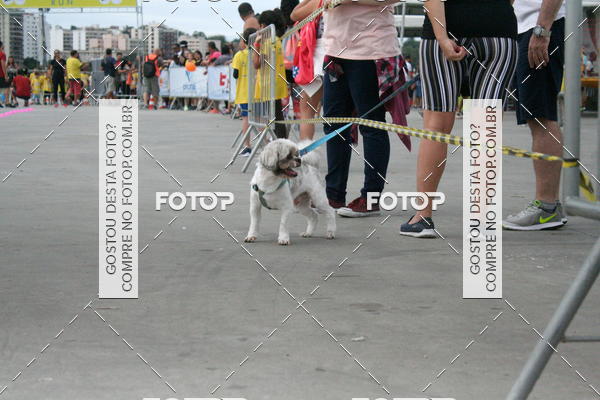 Buy your photos of the eventNiteri Kids Run on Fotop