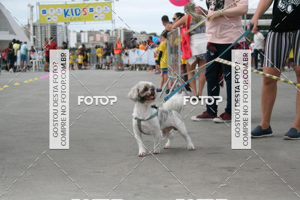 Buy your photos of the eventNiteri Kids Run on Fotop