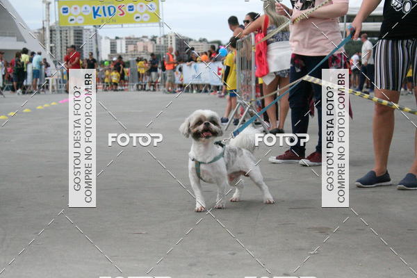 Buy your photos of the eventNiteri Kids Run on Fotop