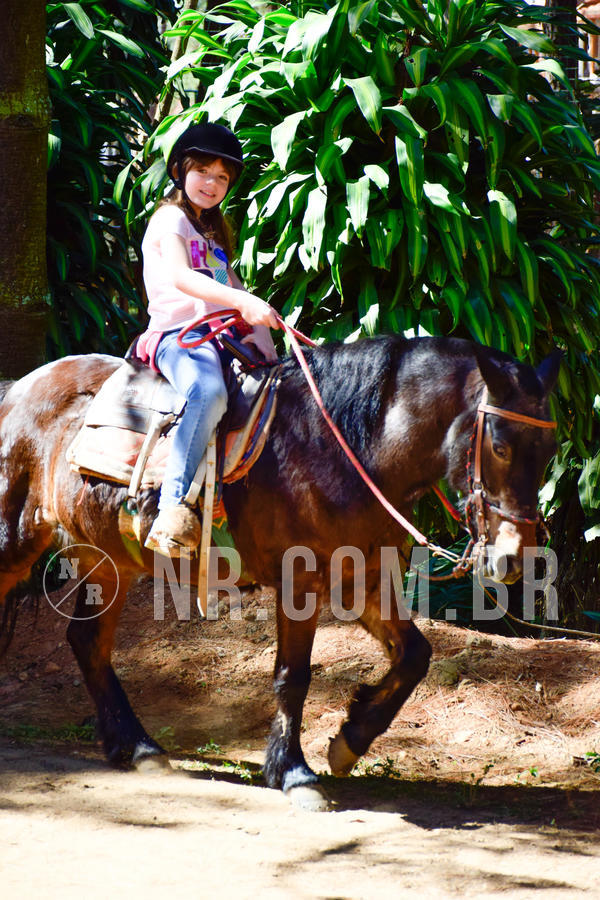 Buy your photos of the eventNR1 - TEMPORADA DE F�RIAS 16 A 22/07/18 on Fotop