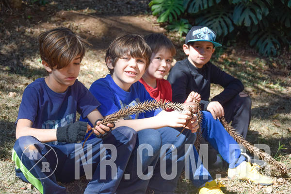 Buy your photos of the eventNR1 - TEMPORADA DE F�RIAS 16 A 22/07/18 on Fotop