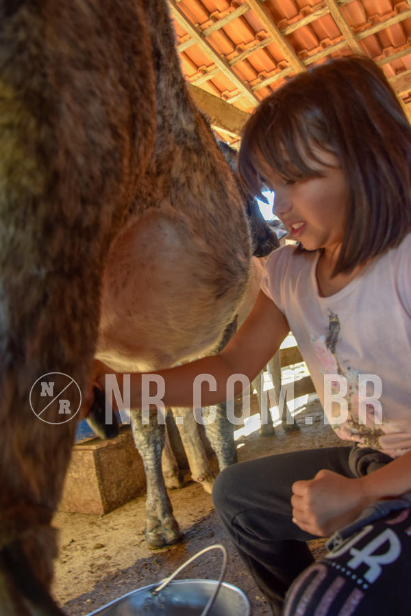 Buy your photos of the eventNR1 - TEMPORADA DE F�RIAS 16 A 22/07/18 on Fotop