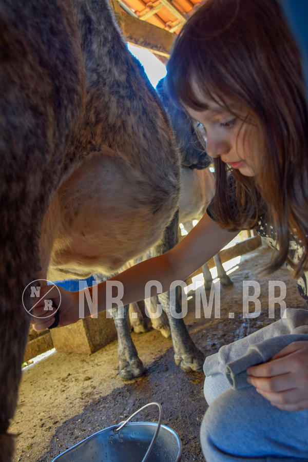 Buy your photos of the eventNR1 - TEMPORADA DE F�RIAS 16 A 22/07/18 on Fotop