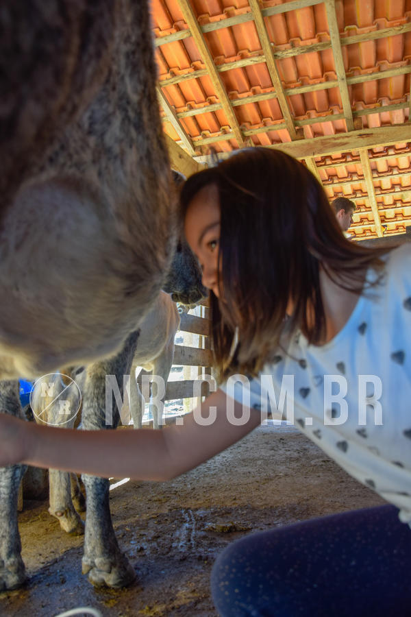 Buy your photos of the eventNR1 - TEMPORADA DE F�RIAS 16 A 22/07/18 on Fotop