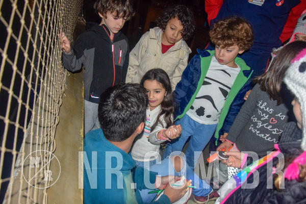 Buy your photos of the eventNR1 - TEMPORADA DE F�RIAS 16 A 22/07/18 on Fotop