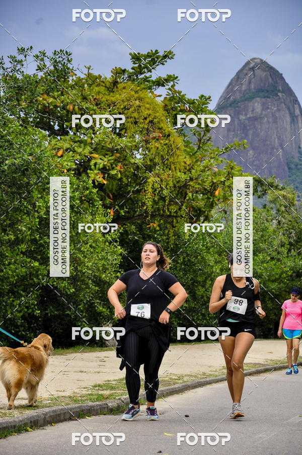 Buy your photos of the eventCORRER � SA�DE! ETAPA LAGOA RODRIGO DE FREITAS on Fotop