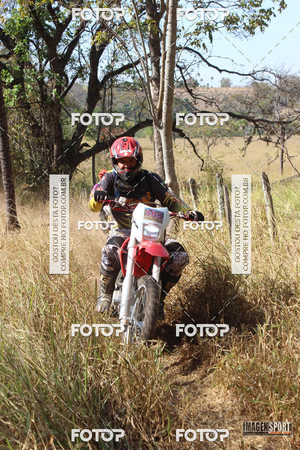 Buy your photos of the event3 Trilho dos Frangos on Fotop