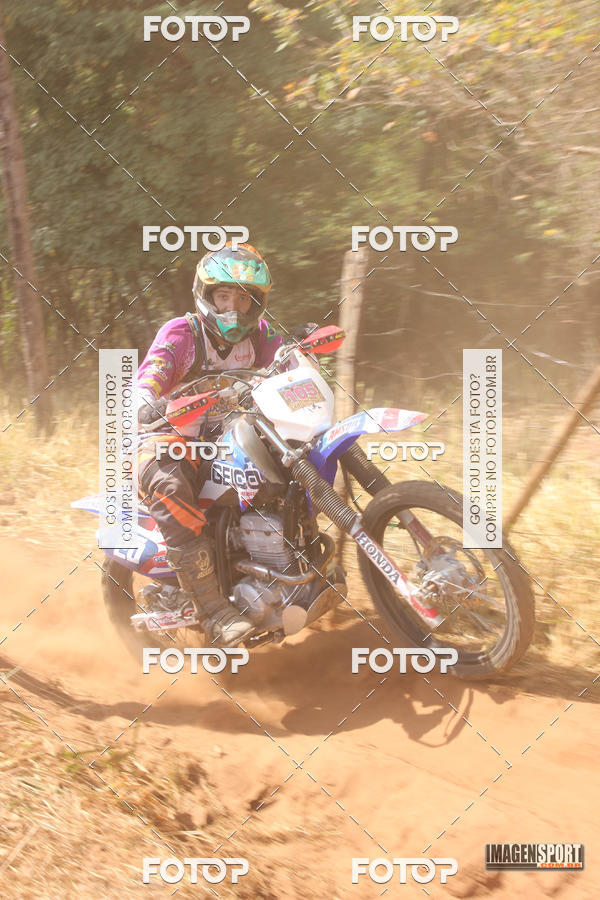 Buy your photos of the event3 Trilho dos Frangos on Fotop