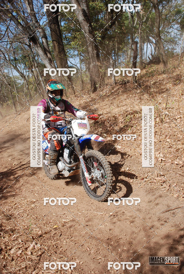 Buy your photos of the event3 Trilho dos Frangos on Fotop