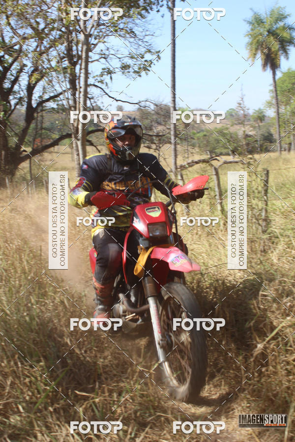 Buy your photos of the event3 Trilho dos Frangos on Fotop