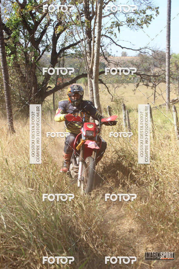 Buy your photos of the event3 Trilho dos Frangos on Fotop