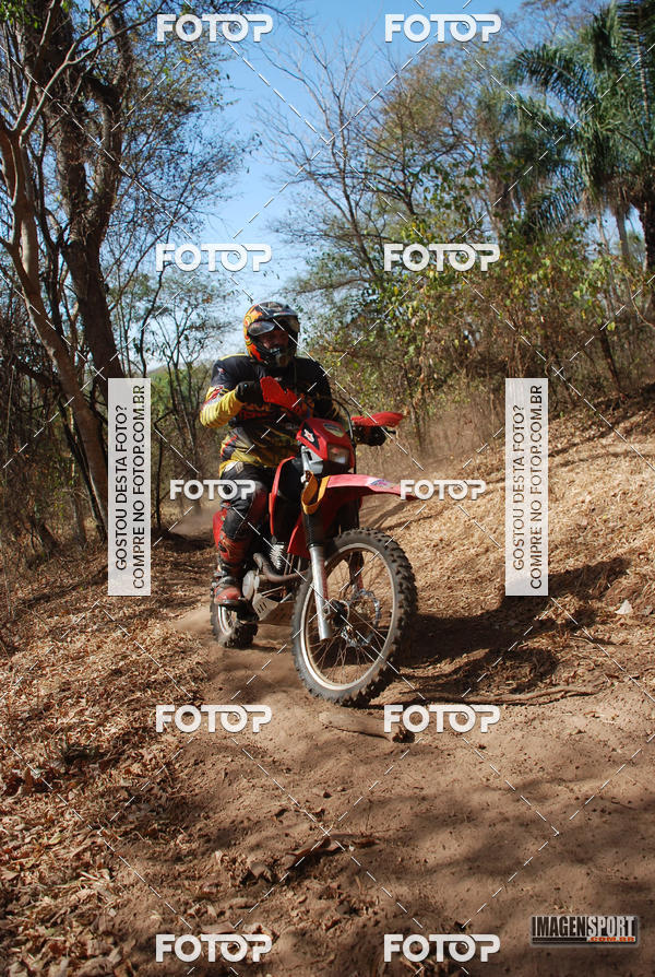 Buy your photos of the event3 Trilho dos Frangos on Fotop