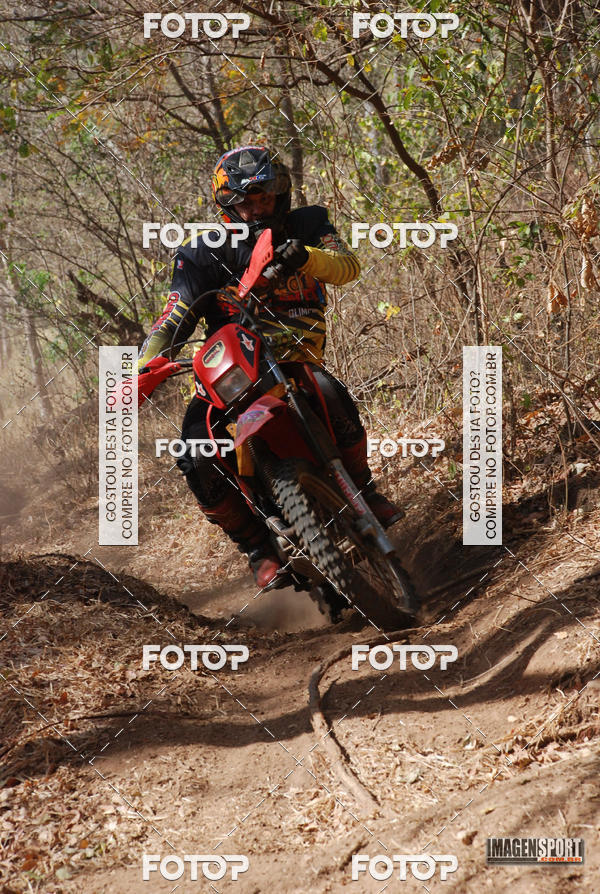 Buy your photos of the event3 Trilho dos Frangos on Fotop