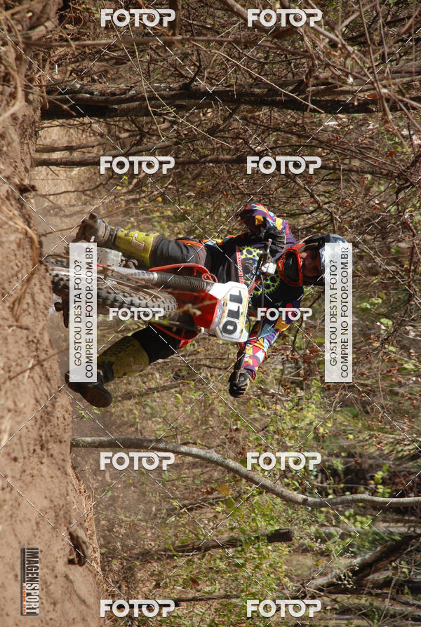 Buy your photos of the event3 Trilho dos Frangos on Fotop