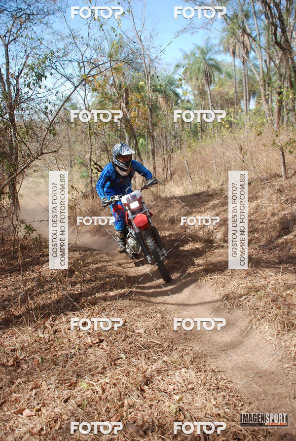 Buy your photos of the event3 Trilho dos Frangos on Fotop