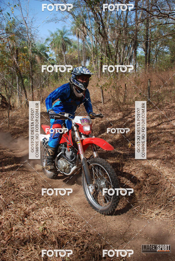 Buy your photos of the event3 Trilho dos Frangos on Fotop