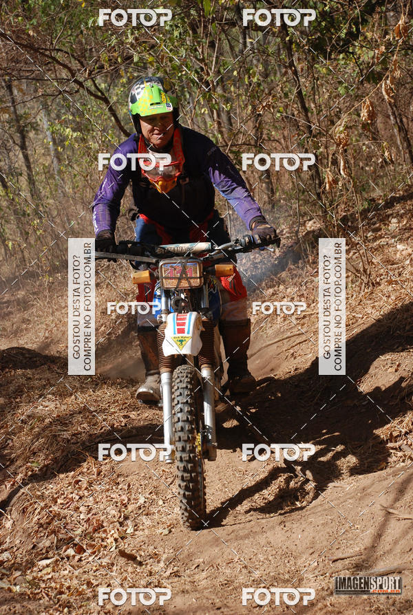 Buy your photos of the event3 Trilho dos Frangos on Fotop