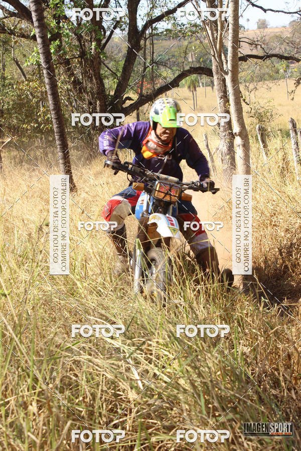 Buy your photos of the event3 Trilho dos Frangos on Fotop