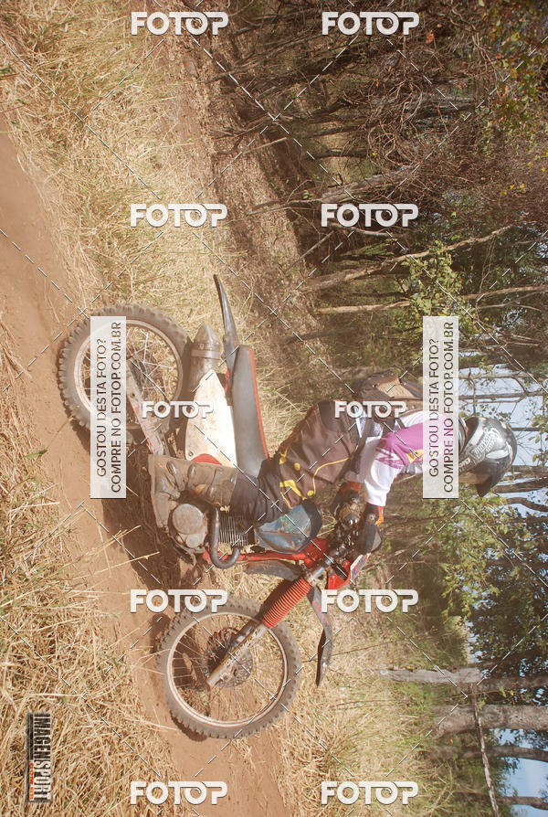 Buy your photos of the event3 Trilho dos Frangos on Fotop