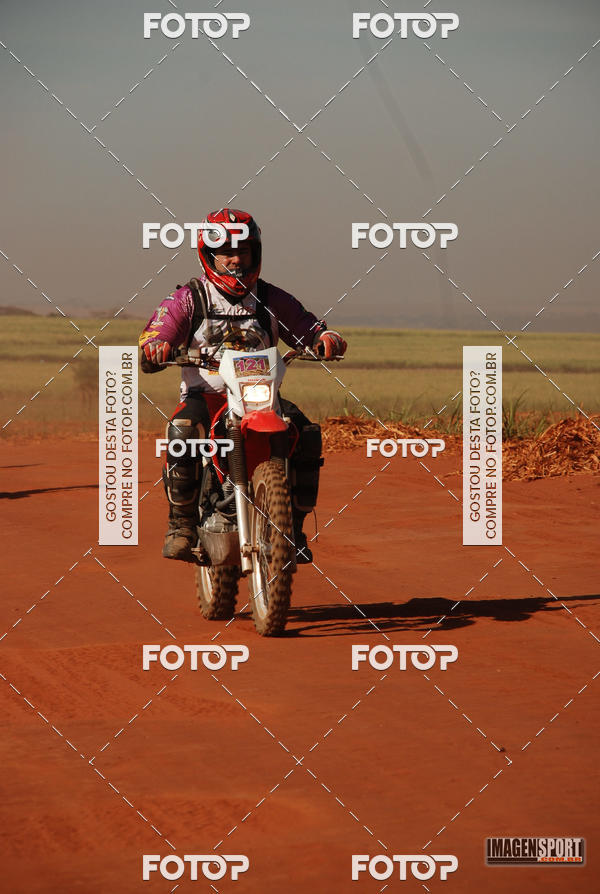 Buy your photos of the event3 Trilho dos Frangos on Fotop