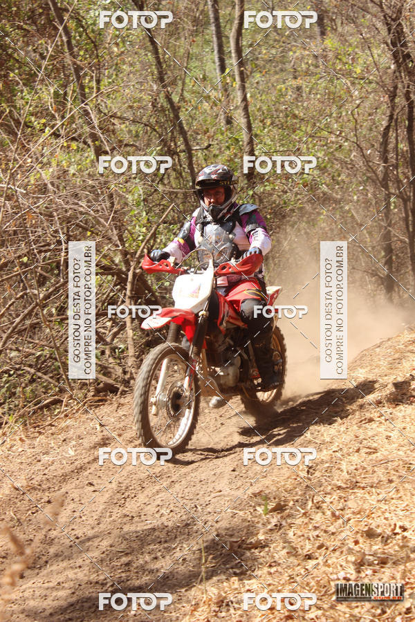 Buy your photos of the event3 Trilho dos Frangos on Fotop