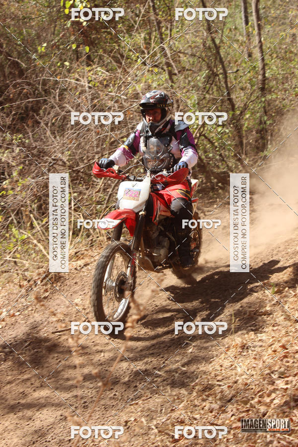 Buy your photos of the event3 Trilho dos Frangos on Fotop