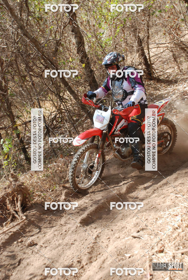 Buy your photos of the event3 Trilho dos Frangos on Fotop