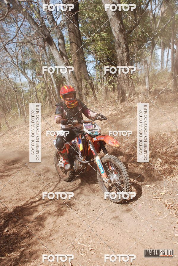 Buy your photos of the event3 Trilho dos Frangos on Fotop