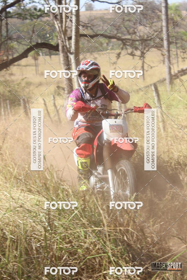 Buy your photos of the event3 Trilho dos Frangos on Fotop