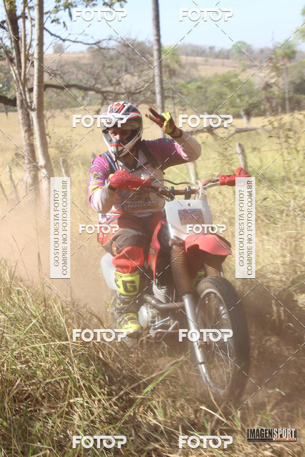 Buy your photos of the event3 Trilho dos Frangos on Fotop