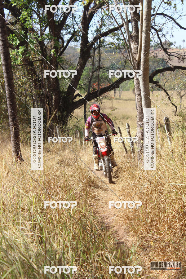 Buy your photos of the event3 Trilho dos Frangos on Fotop