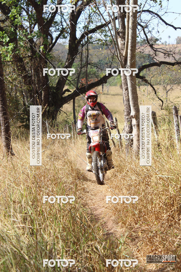 Buy your photos of the event3 Trilho dos Frangos on Fotop