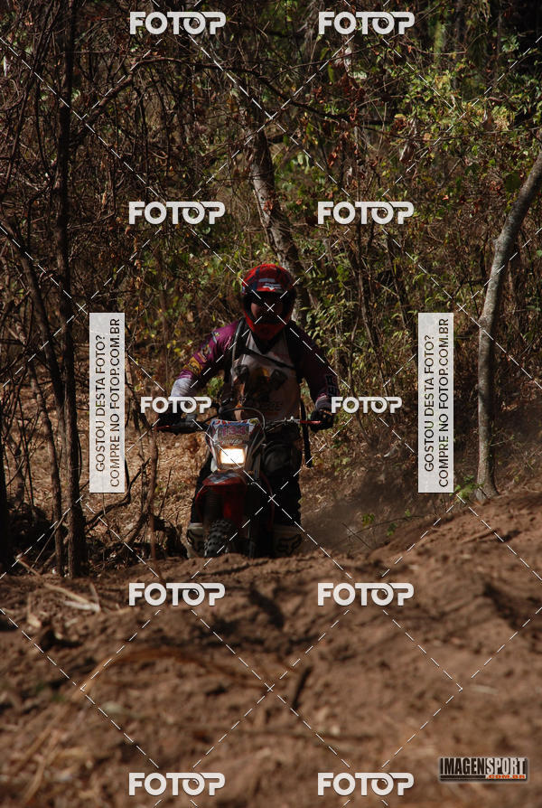 Buy your photos of the event3 Trilho dos Frangos on Fotop