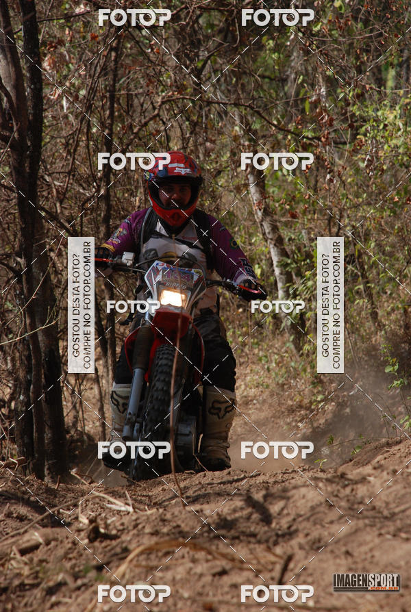 Buy your photos of the event3 Trilho dos Frangos on Fotop