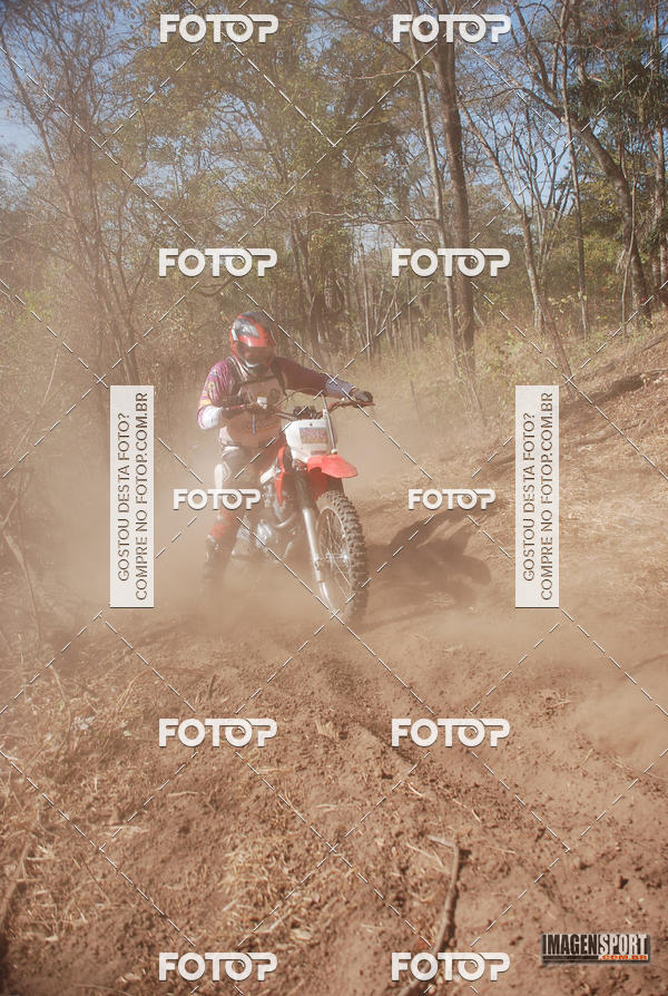 Buy your photos of the event3 Trilho dos Frangos on Fotop