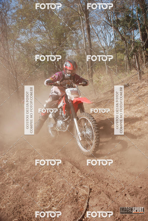 Buy your photos of the event3 Trilho dos Frangos on Fotop