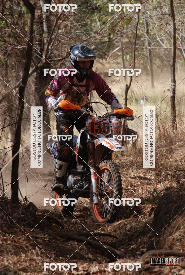 Buy your photos of the event3 Trilho dos Frangos on Fotop