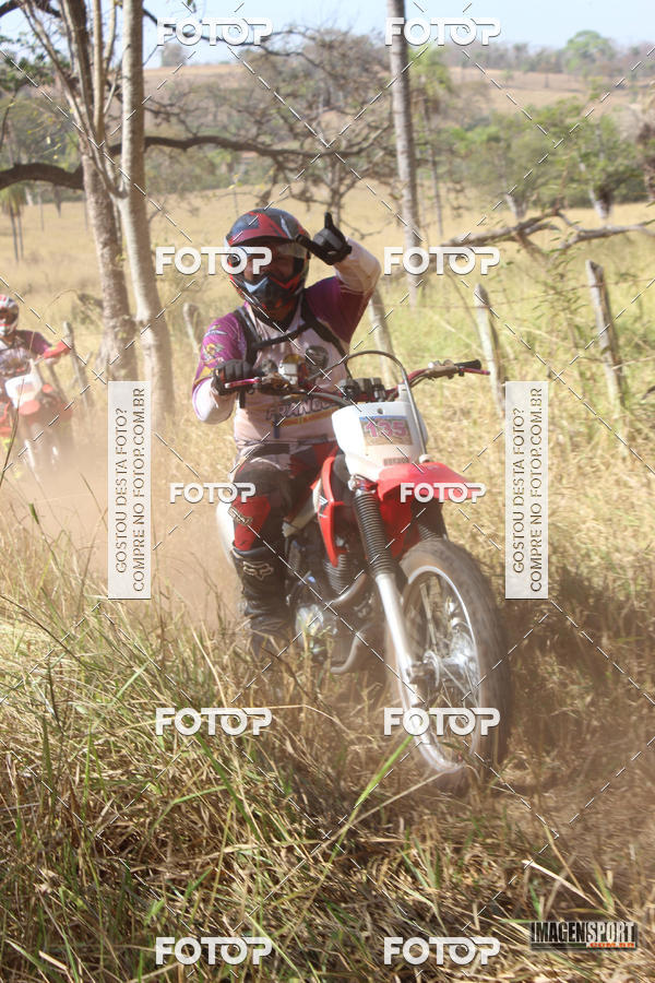 Buy your photos of the event3 Trilho dos Frangos on Fotop