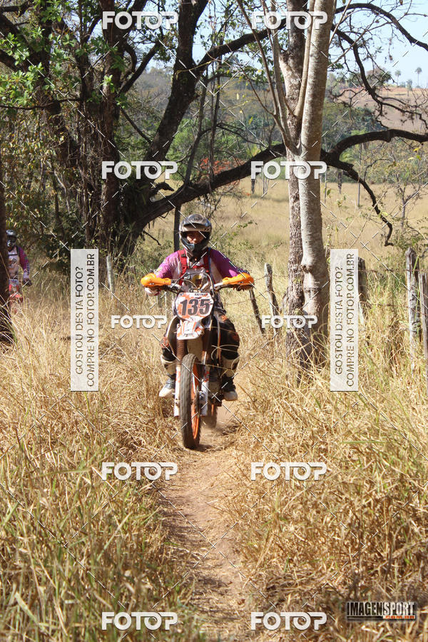 Buy your photos of the event3 Trilho dos Frangos on Fotop