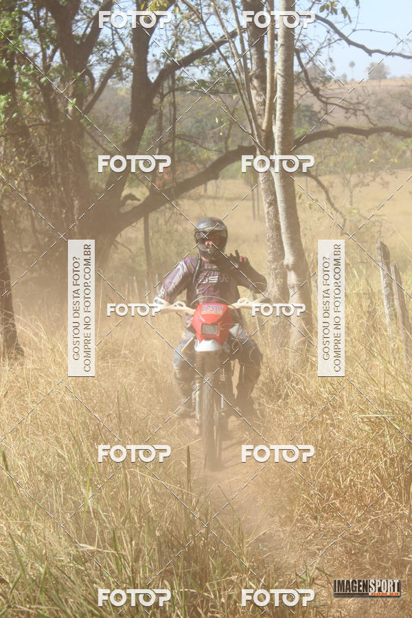 Buy your photos of the event3 Trilho dos Frangos on Fotop
