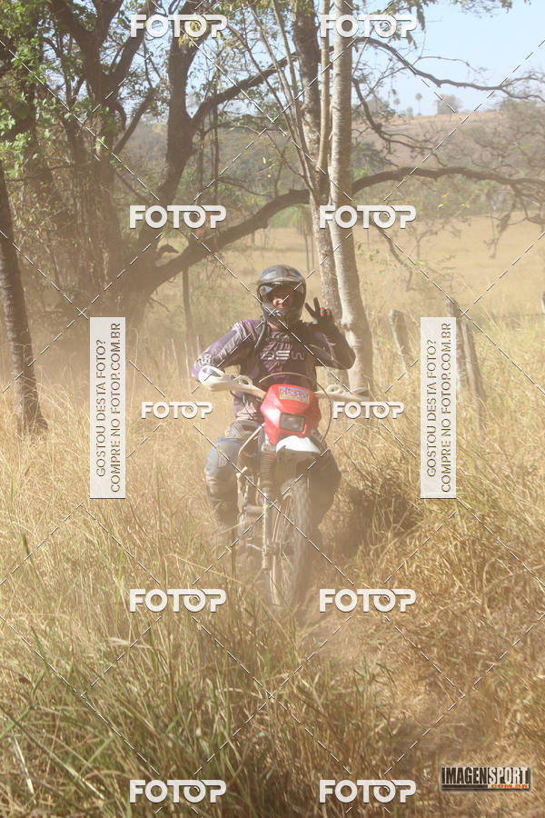 Buy your photos of the event3 Trilho dos Frangos on Fotop