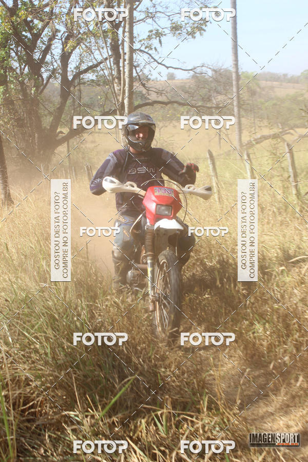 Buy your photos of the event3 Trilho dos Frangos on Fotop