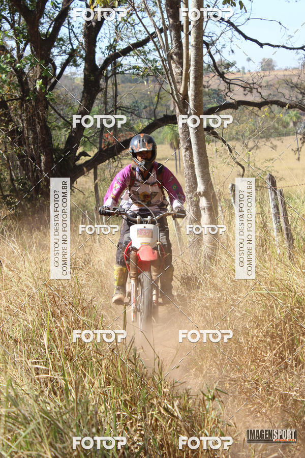 Buy your photos of the event3 Trilho dos Frangos on Fotop