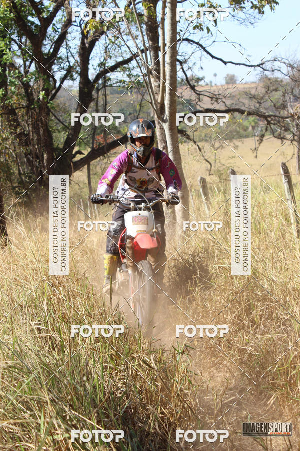 Buy your photos of the event3 Trilho dos Frangos on Fotop