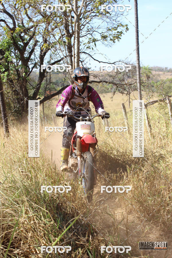 Buy your photos of the event3 Trilho dos Frangos on Fotop