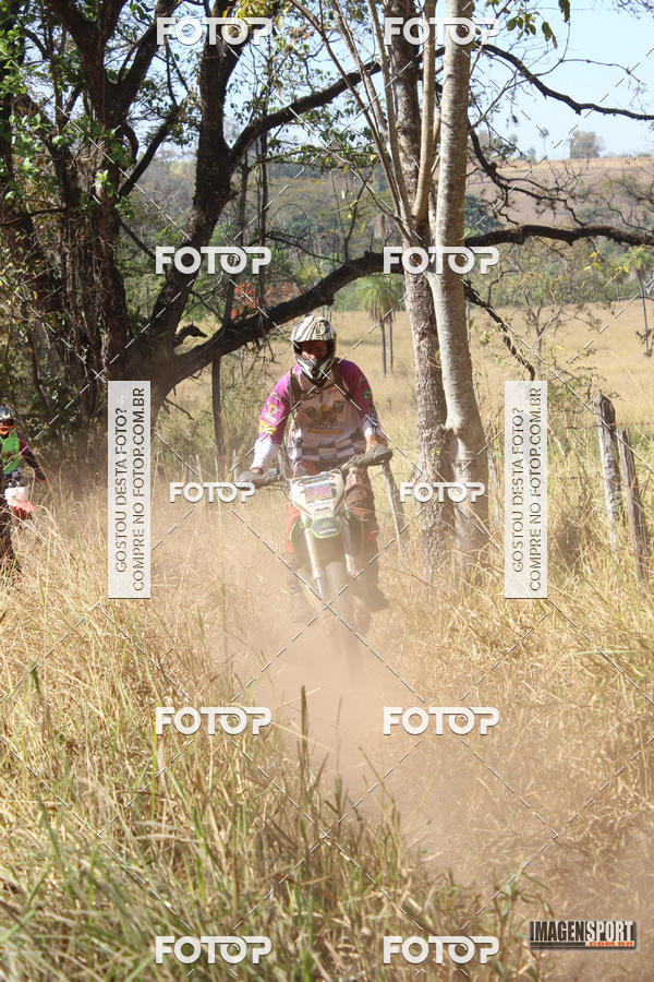 Buy your photos of the event3 Trilho dos Frangos on Fotop