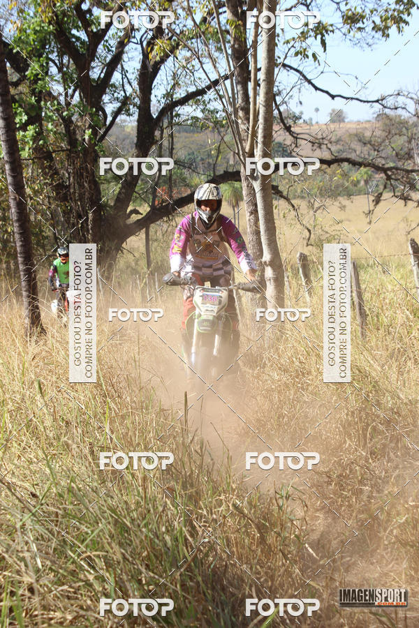 Buy your photos of the event3 Trilho dos Frangos on Fotop