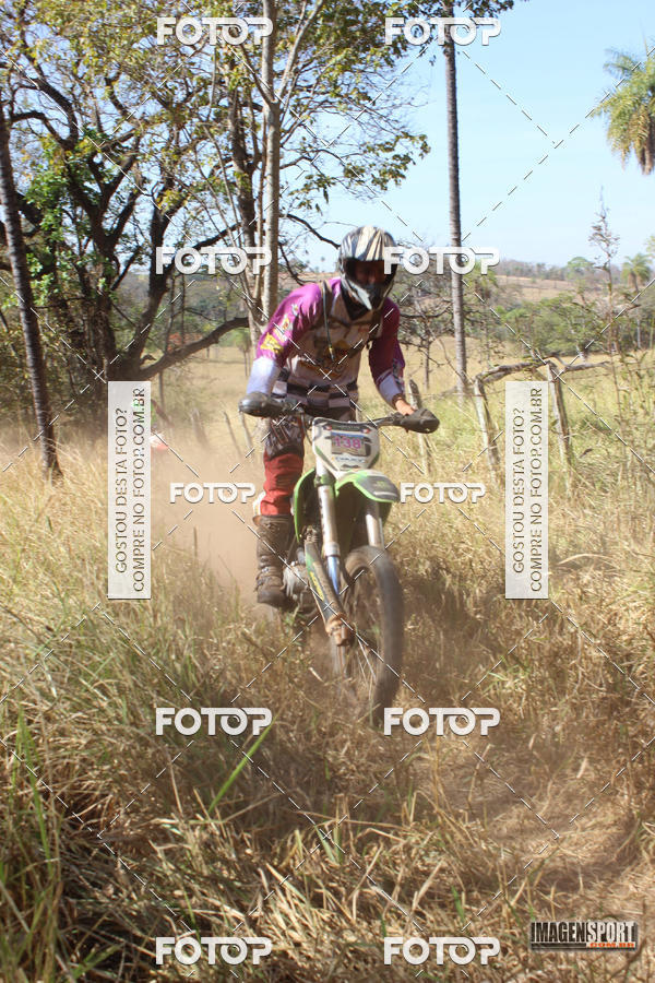 Buy your photos of the event3 Trilho dos Frangos on Fotop